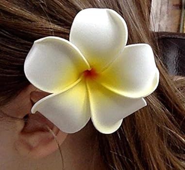 DreamLily Women's Fashion 3 Pcs Hawaiian White Plumeria Flower Foam Hair Clip Balaclavas for Beach ( | Amazon (US)