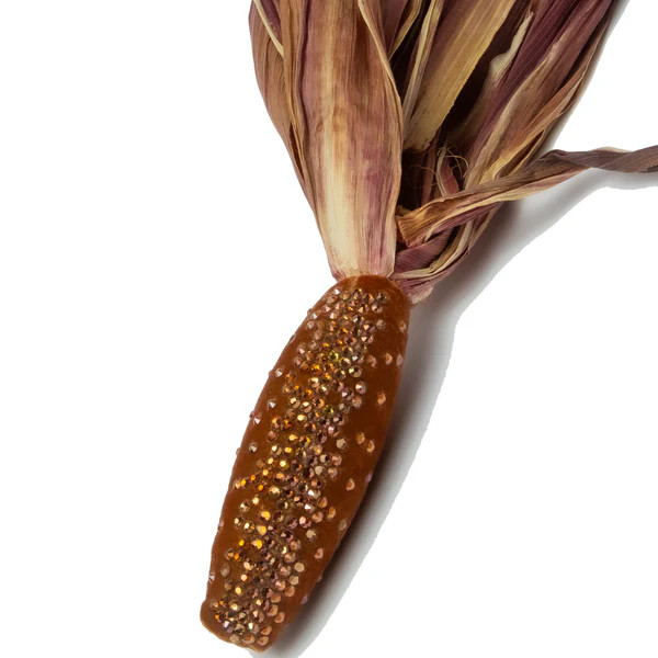 NEW Silk Velvet Corn -Sandgreen w/natural husk | Hot Skwash