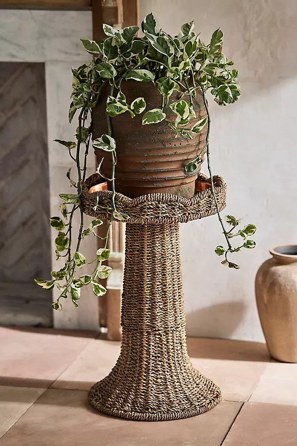 Scalloped Wicker Plant Stand | Anthropologie (US)