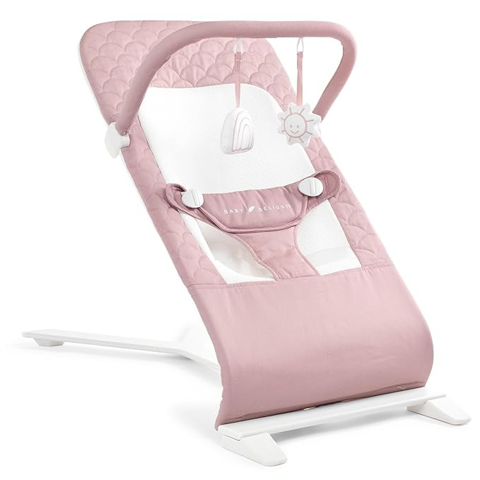 Baby Delight Alpine Deluxe Portable Baby Bouncer | Infant | 0-6 Months | 100% GOTS Certified Orga... | Amazon (US)