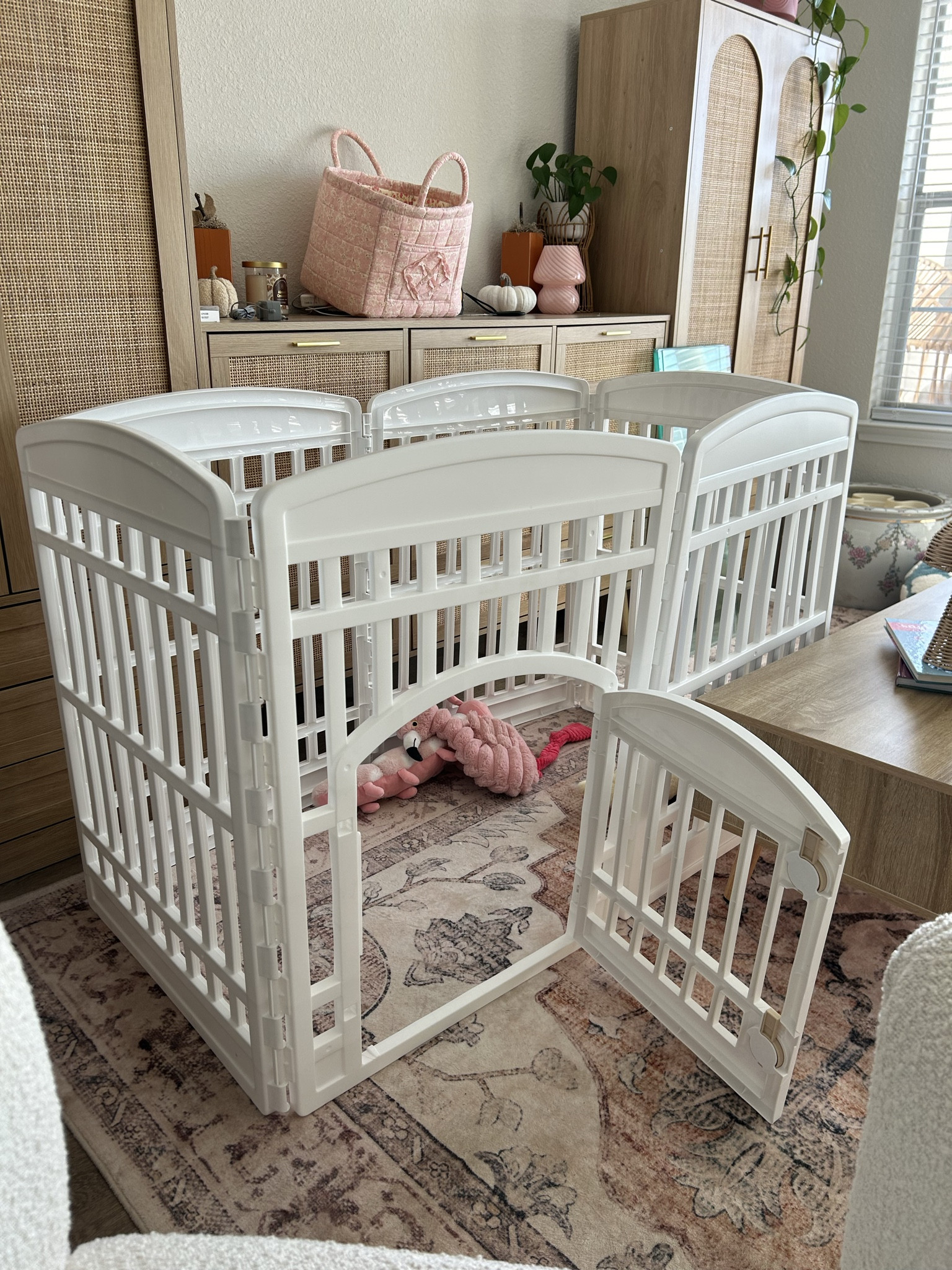 the cutest and most effective dog play pen! Daisy loves it!🤍✨☁️

#LTKPets #LTKGiftGuide #LTKHome