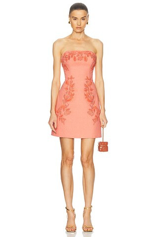 Strapless Mini Dress | FWRD 