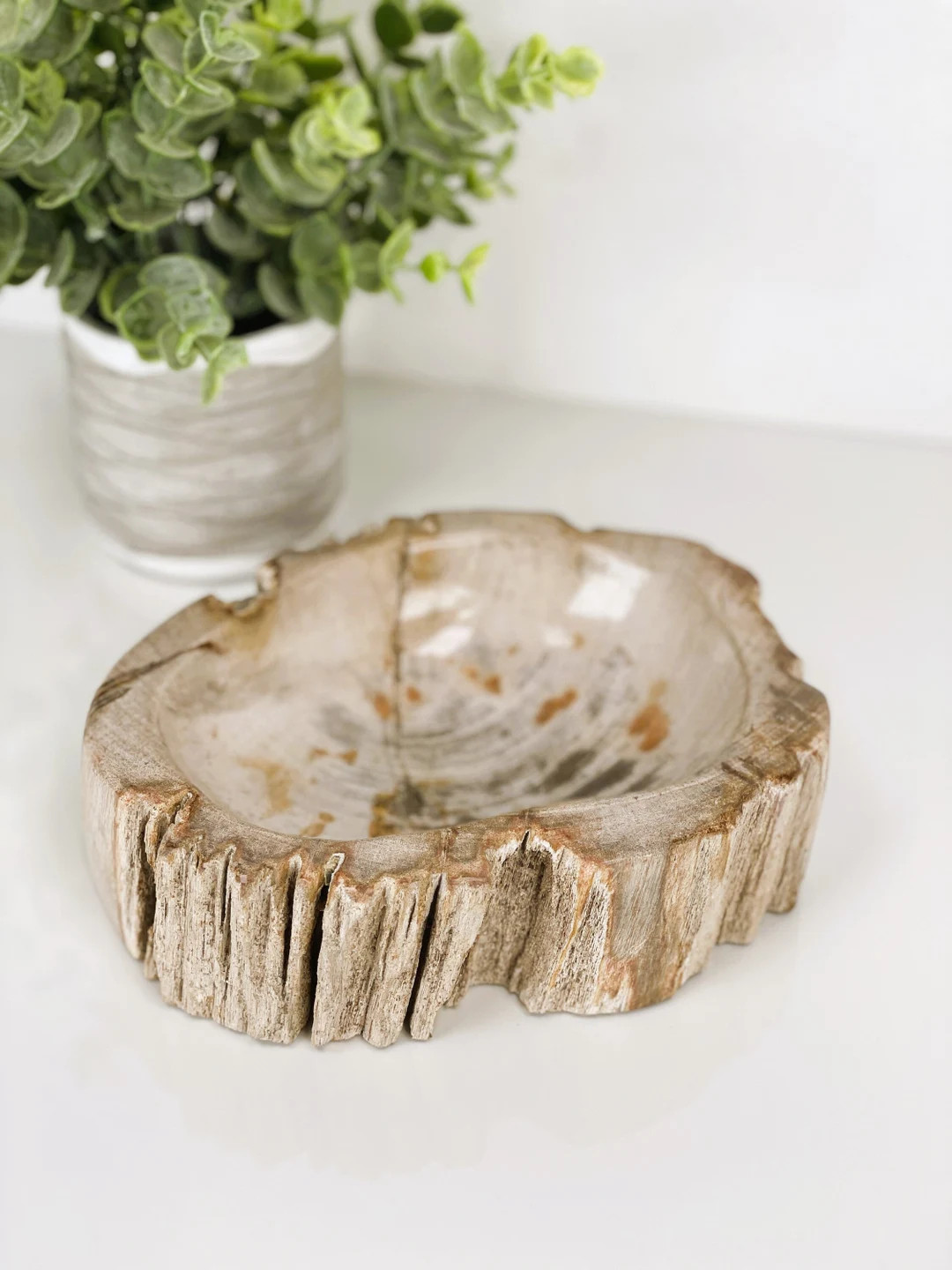 PETRIFIED WOOD BOWL Petrified Wood Trinket Dish Petrified - Etsy | Etsy (US)