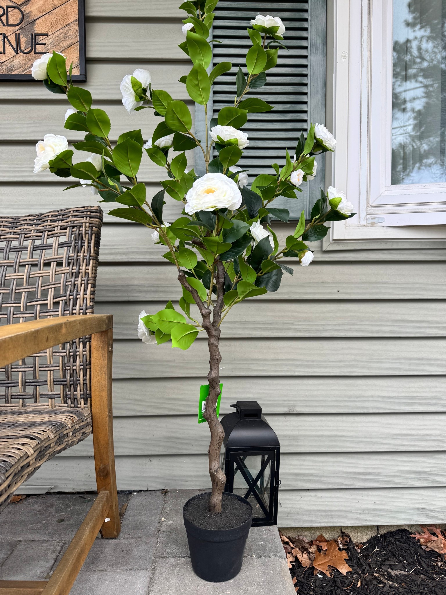 50% off
4ft tall
WHITE (most on Amazon are out of stock, not as full, or start with a split trunk coming up from the base) 

#LTKSeasonal #LTKHome #LTKSaleAlert