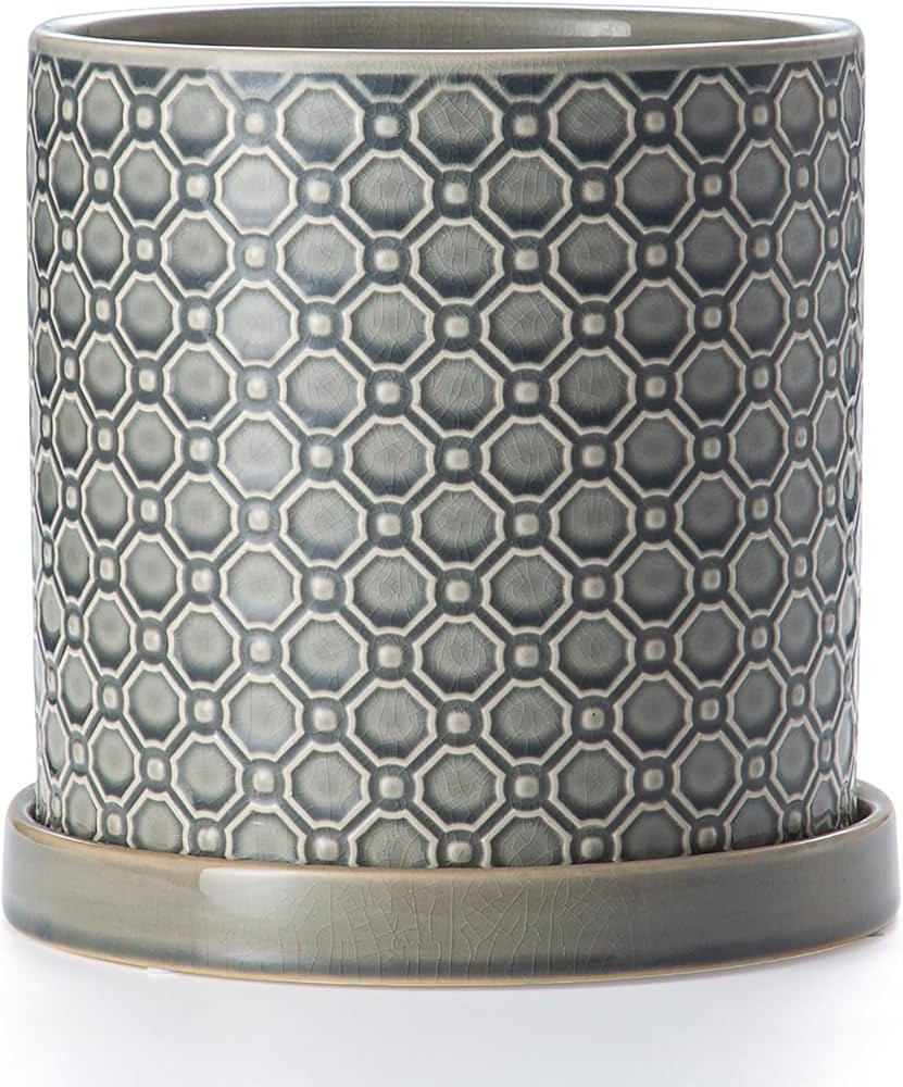 8 Inch Plant Pot: Ceramic Planter with Drainage Hole & Saucer Indoor Outdoor Plants - Cylinder Ro... | Amazon (US)