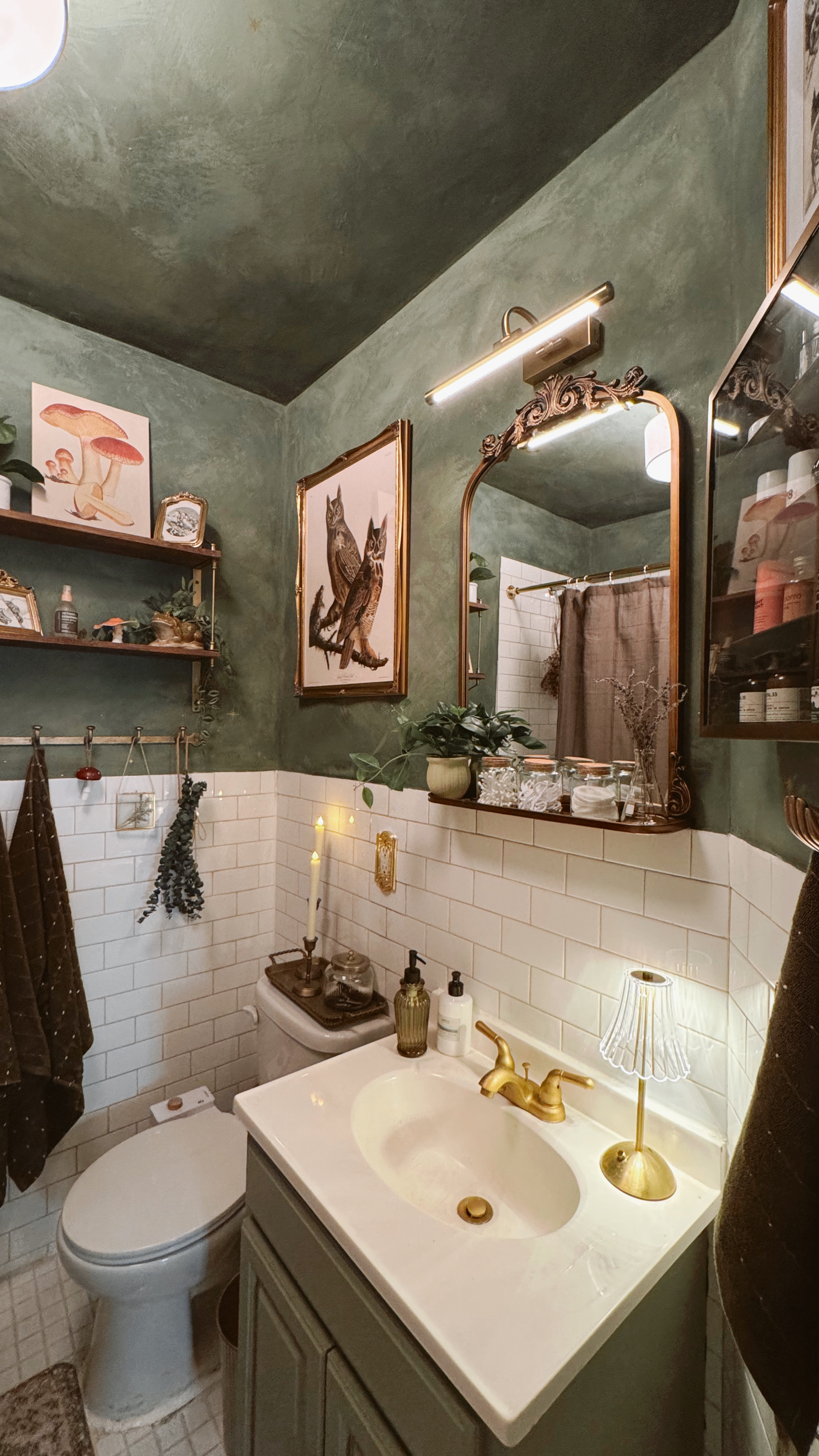 My bathroom renovation links! I love this calming nature apothecary vibe 

#LTKHome #LTKSeasonal #LTKWatchNow