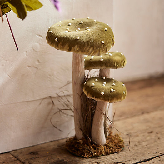 Velvet Mushrooms, Set of 3 Large | Terrain