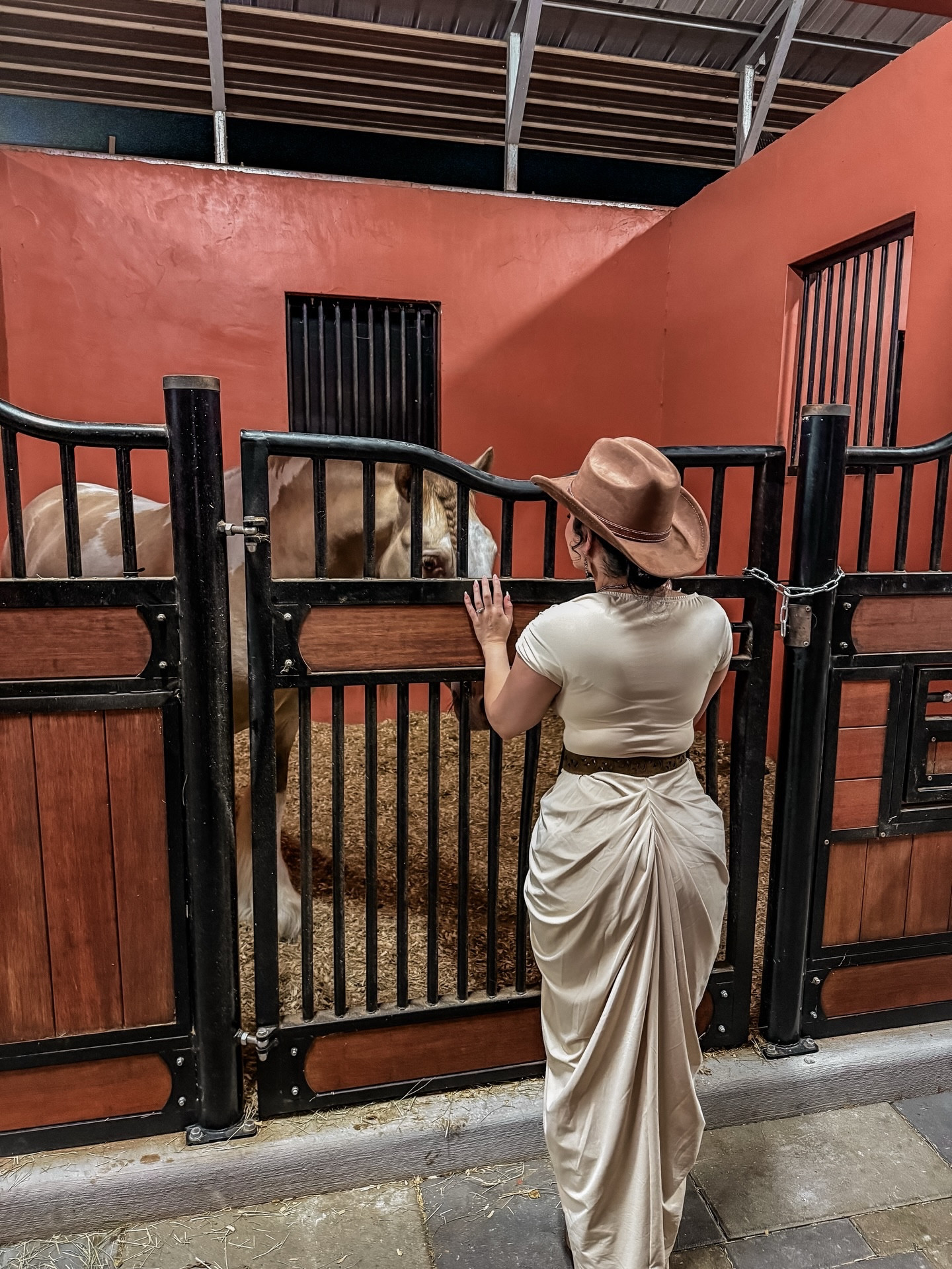 They all posed for me 🐴 .the sweetest boys 🤍

Dress @sheinofficial tagged under my affliate code 
Belt @ariat 
Hat @amazon linked in my bio LTK 

#westernvibes #western #blogger #ootd