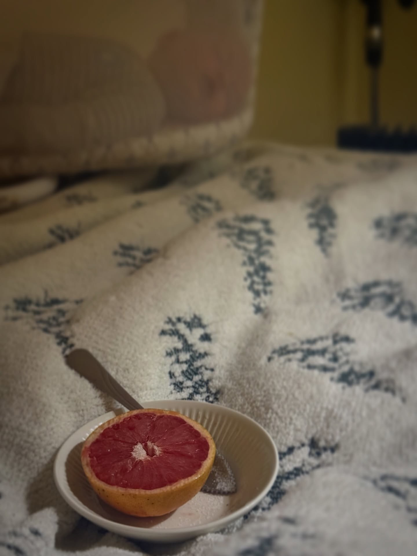 Lil breaky in bed moment 🫶🤍 #slowmornings #cozymornings #breakfastinbed