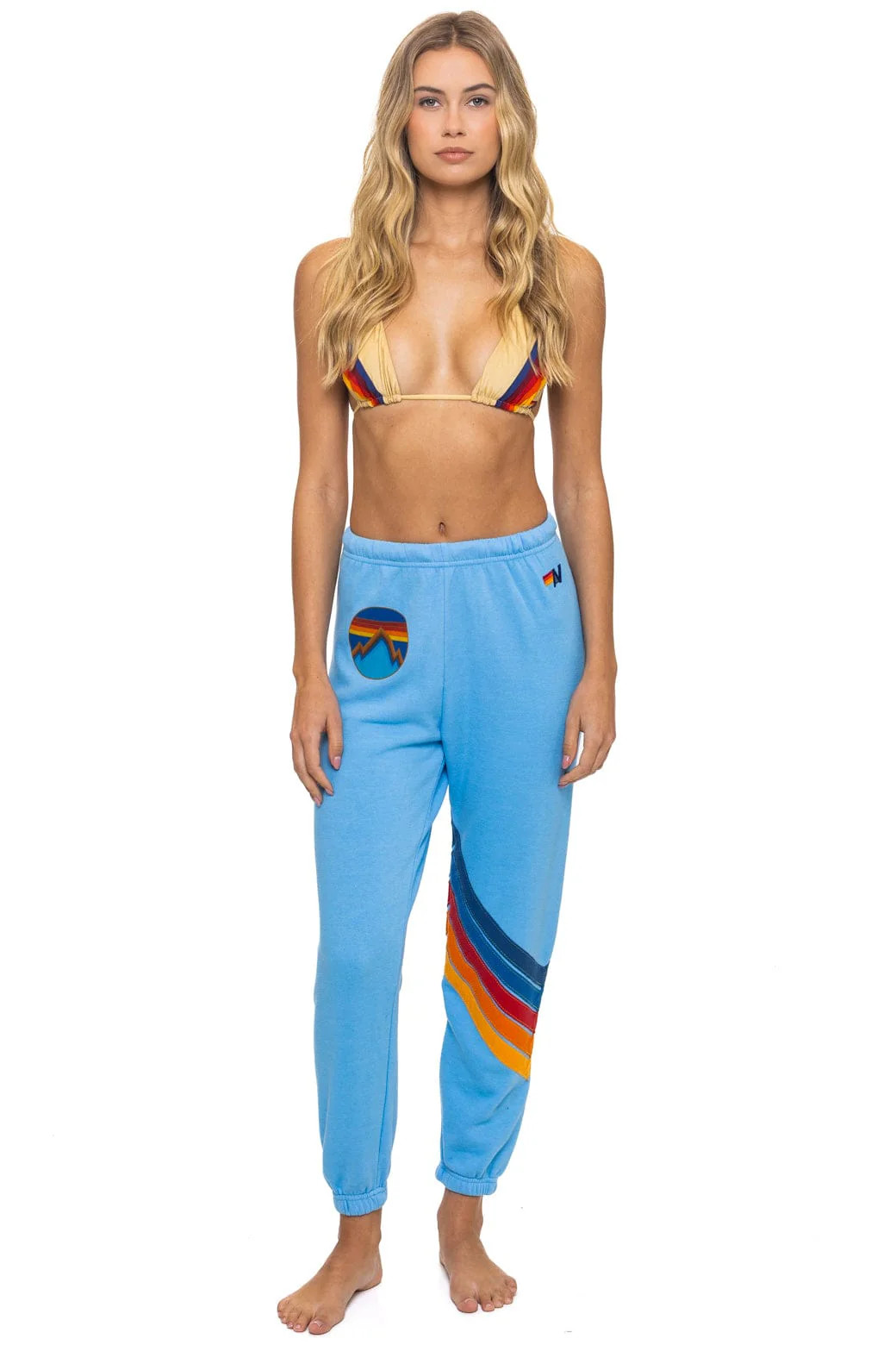 ALL SEASONS CIRCLE CHEVRON SWEATPANTS - SKY | Aviator Nation