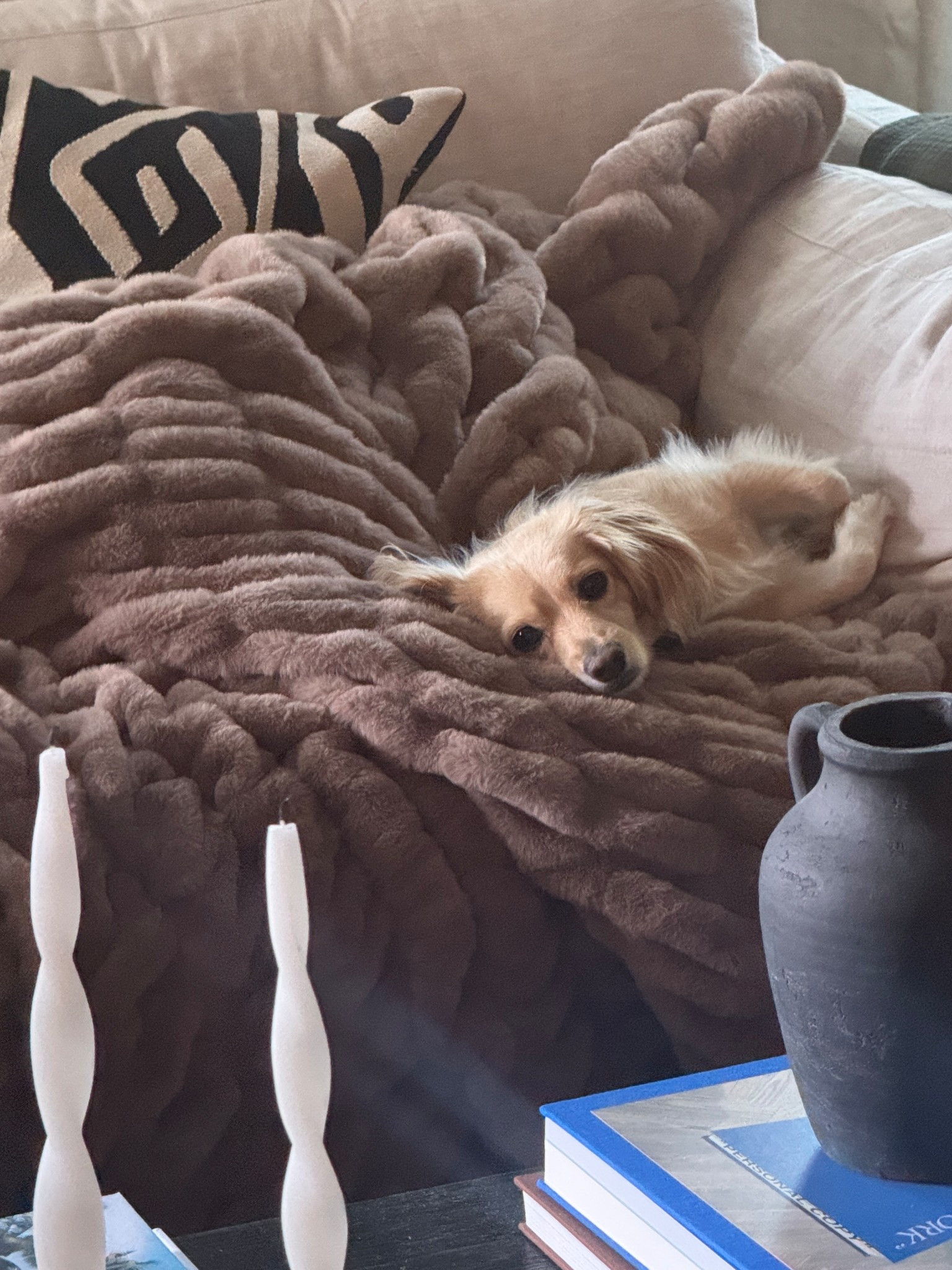 Best blanket I’ve ever purchased 