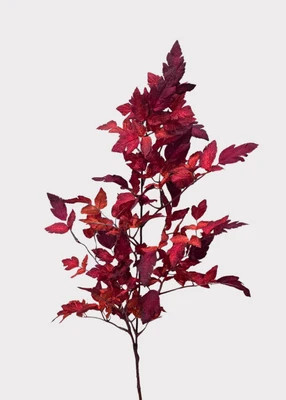 Afloral™ Artificial Cimicifuga Ramosa Leaves in Red - 30" | Afloral
