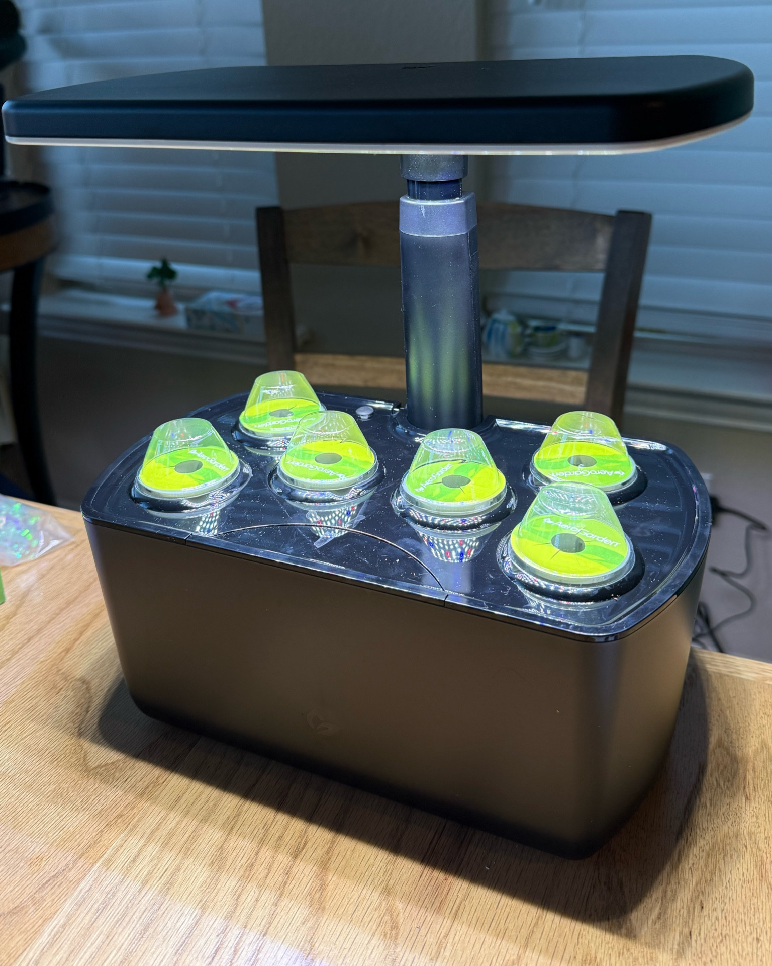 My girls got the #aerogarden for Hanukkah and they love it.  Right now we are growing wildflowers and lettuce but my kids want to do strawberries and cucumbers next. #gardening 

#LTKHome