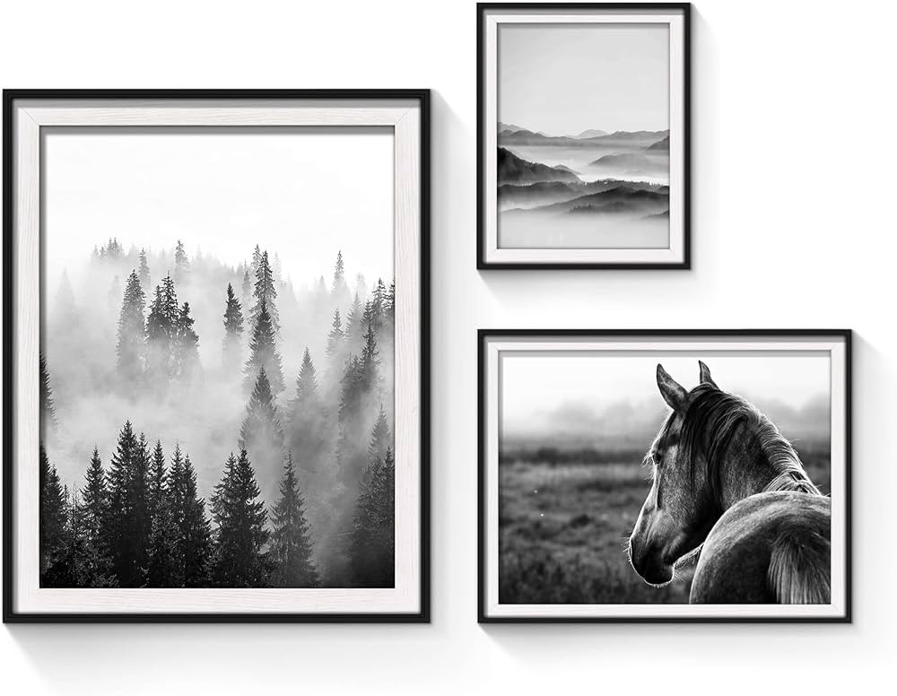 SunFlax Nature View Pictures Prints Framed - Mysterious Foggy Scenery Photography Black and White... | Amazon (US)