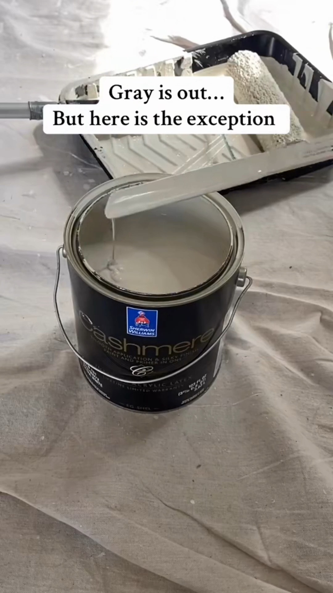We may be a little over grey, but it does have its place! Sherwin Williams Repose Gray still has a modern feel without feeling cold. Check out my full color review on the blog — link in bio! 

#paintcolors #graypaint #homedesign #interiordesign #interiorpaint #wallpaint #neutralpaint #sherwinwilliams

#LTKHome #LTKvlog