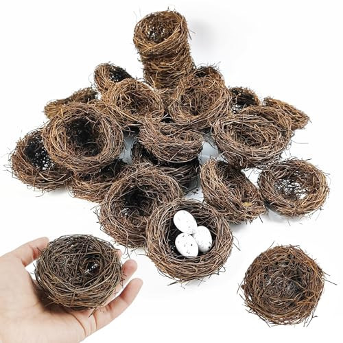 GXXMEI 20PCS 3'' Mini Artificial Bird Nest for Crafts, Easter, Party, Wedding, Patio Garden, Succulent Planter, DIY Terrarium | Amazon (US)