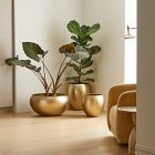 Organic Metal Floor Planters | West Elm (US)