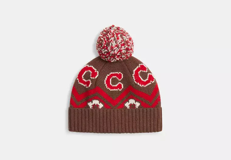 Fair Isle Print Knit Beanie | Coach Outlet US