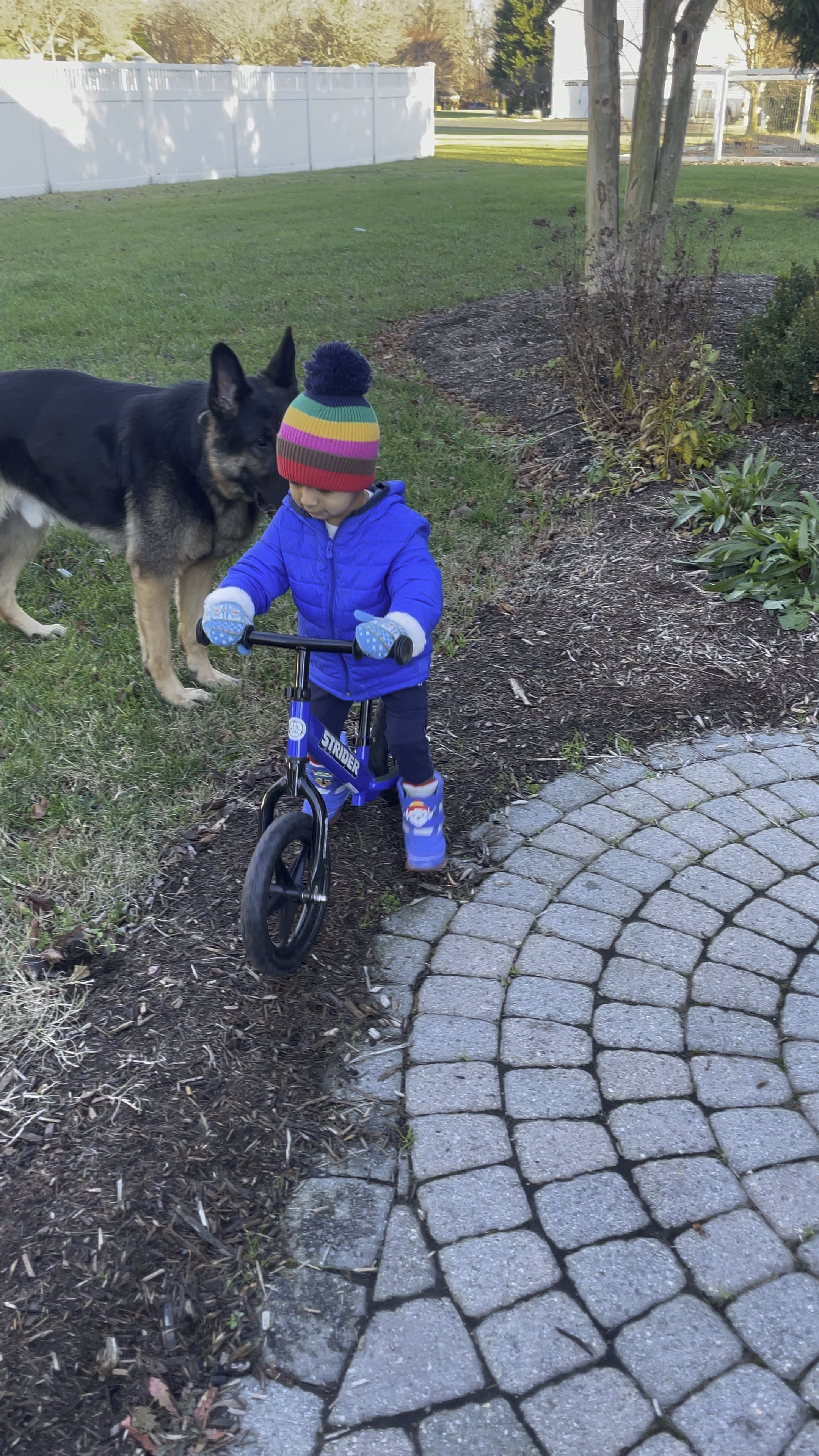 Toddler boy winter must haves 
, toddler boy balance bike, toddler boy gift ideas 

#LTKkids #LTKGiftGuide #LTKVideo