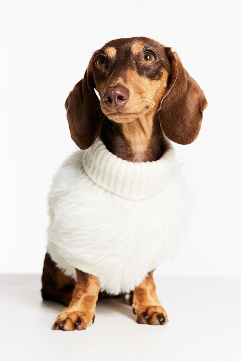 Fluffy Dog Sweater - White - Men | H&M US | H&M (US + CA)