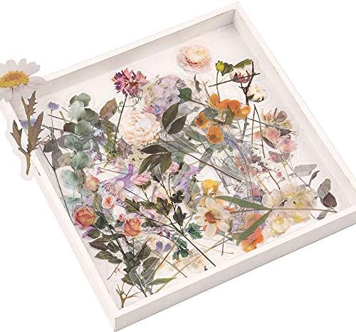 Flower Sticker Set, NOGAMOGA Large Size Design PET Transparent Floral Decals Decorative Journalin... | Amazon (US)