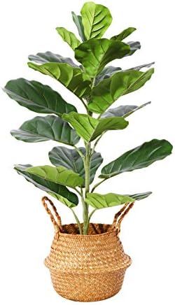 Amazon.com: Ferrgoal Artificial Fiddle Leaf Fig Plants 30 Inch Fake Ficus Lyrata Tree with 21 Lea... | Amazon (US)