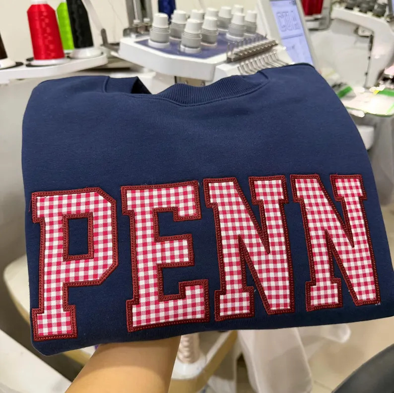 Applique Sweatshirt Gingham Letter Crewneck, Custom College Name Pullover, Embroidered University... | Etsy (Global)