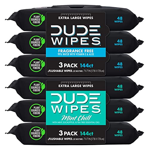 DUDE Wipes - Flushable Wipes - 6 Pack, 288 Wipes - Unscented & Mint Chill Combo, Extra-Large Adult Wet Wipes with Vitamin-E & Aloe for at-Home Use - Septic and Sewer Safe | Amazon (US)