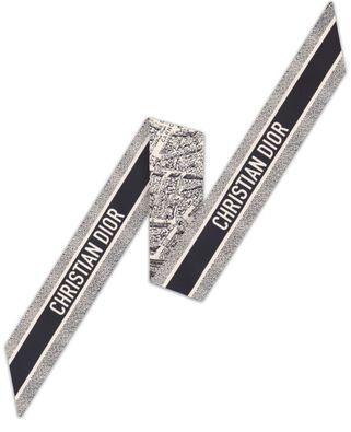 Plan de Paris Mitzah Scarf - DIOR | 24S US