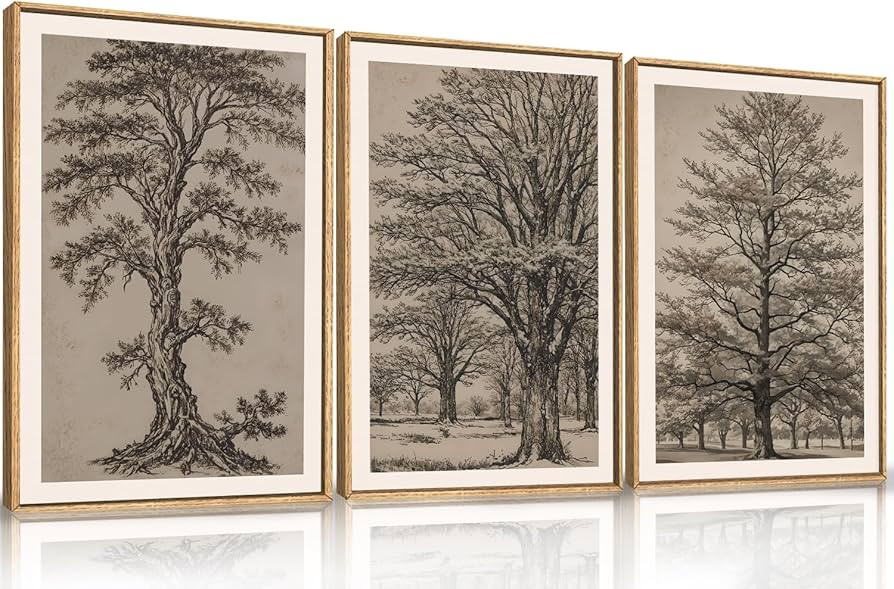 HOURIA Vintage Tree Sketch Framed Canvas Wall Art Set,Natural Dark Botanical Wall Decor,Retro Tre... | Amazon (US)
