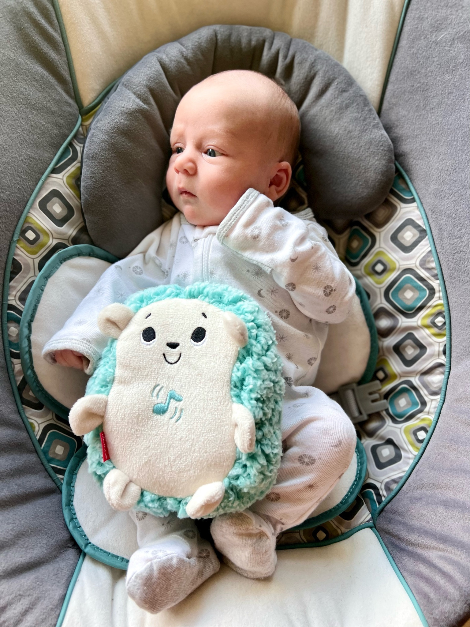 Saw all the hype over this hedgehog soother and had to get one to try out! He loves sitting in his swing with it on his belly, we keep the music off but turn on the vibrate! 

#LTKbaby #LTKfamily #LTKbump