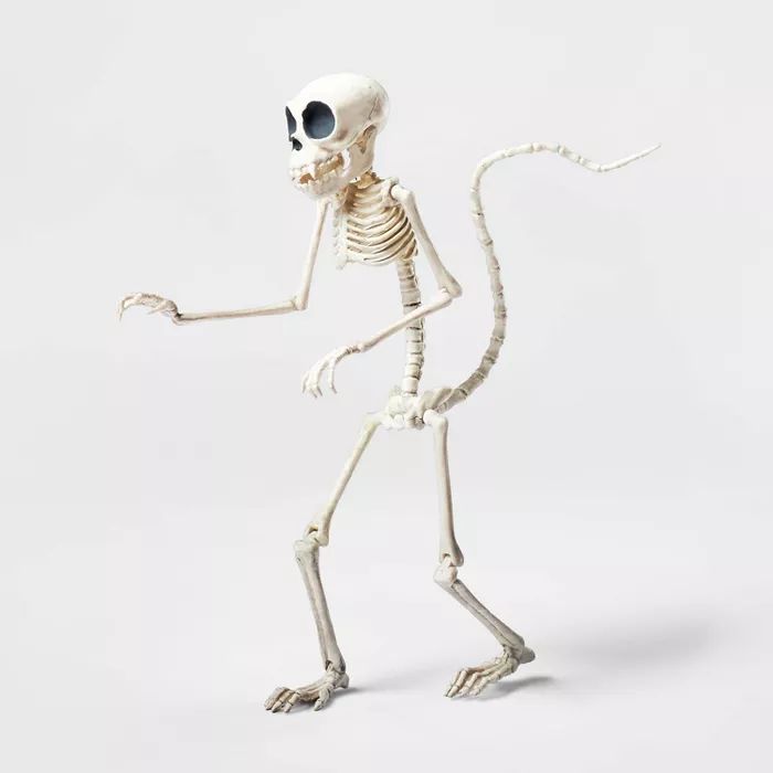 7.5" Monkey Skeleton Halloween Decorative Prop - Hyde & EEK! Boutique™ | Target
