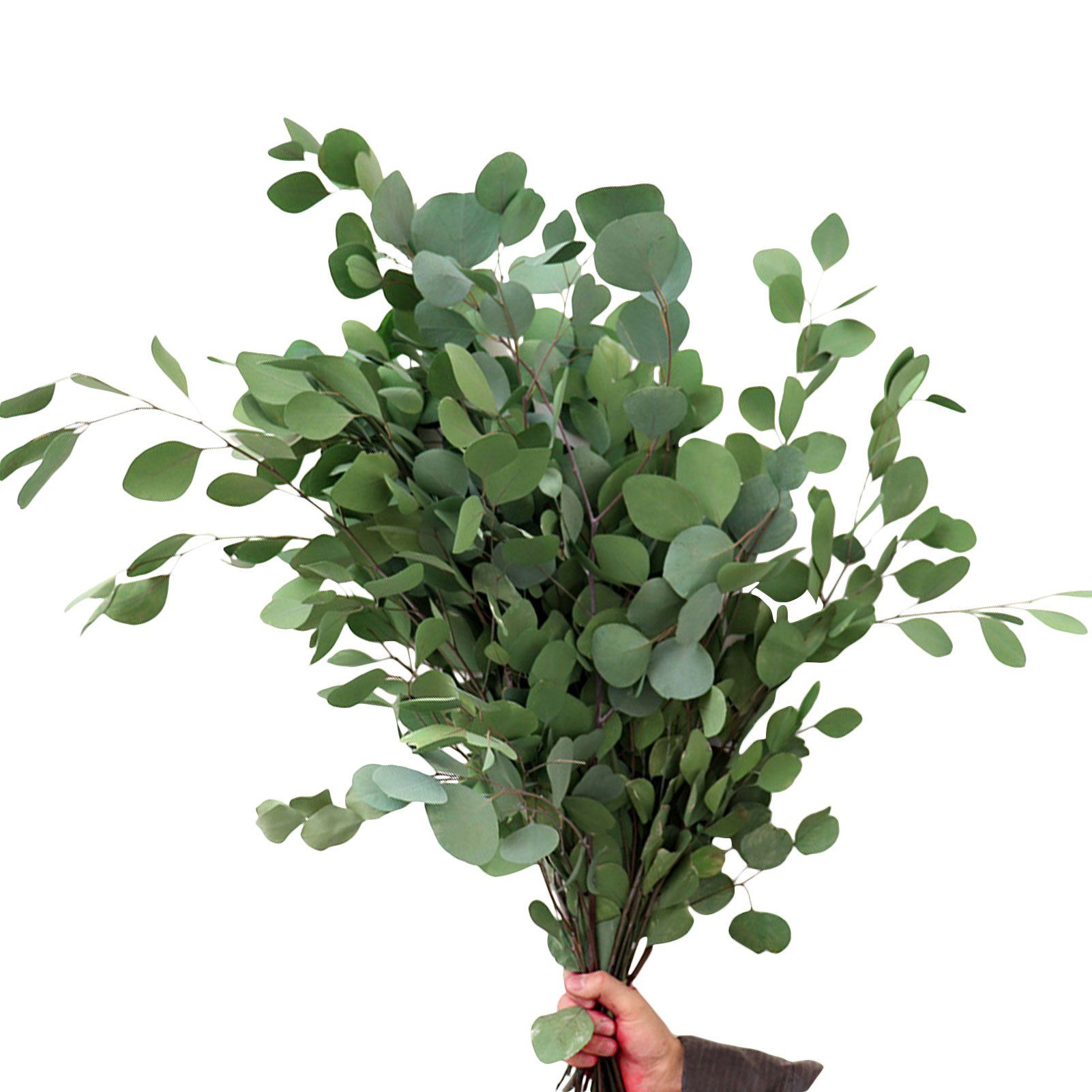 Eucalyptus Leaves Bouquet Eternal Dried Flower for Wedding Decor | Walmart (US)