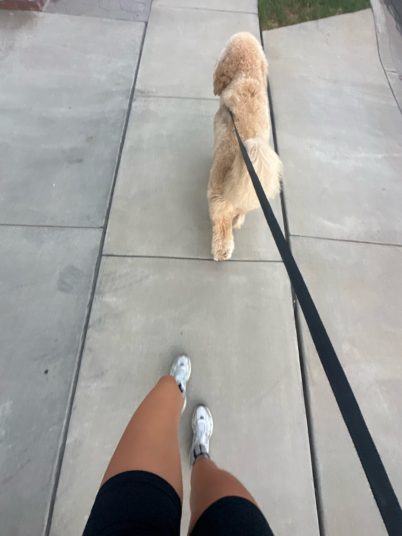 walking / training shoes 

#LTKActive #LTKFitness