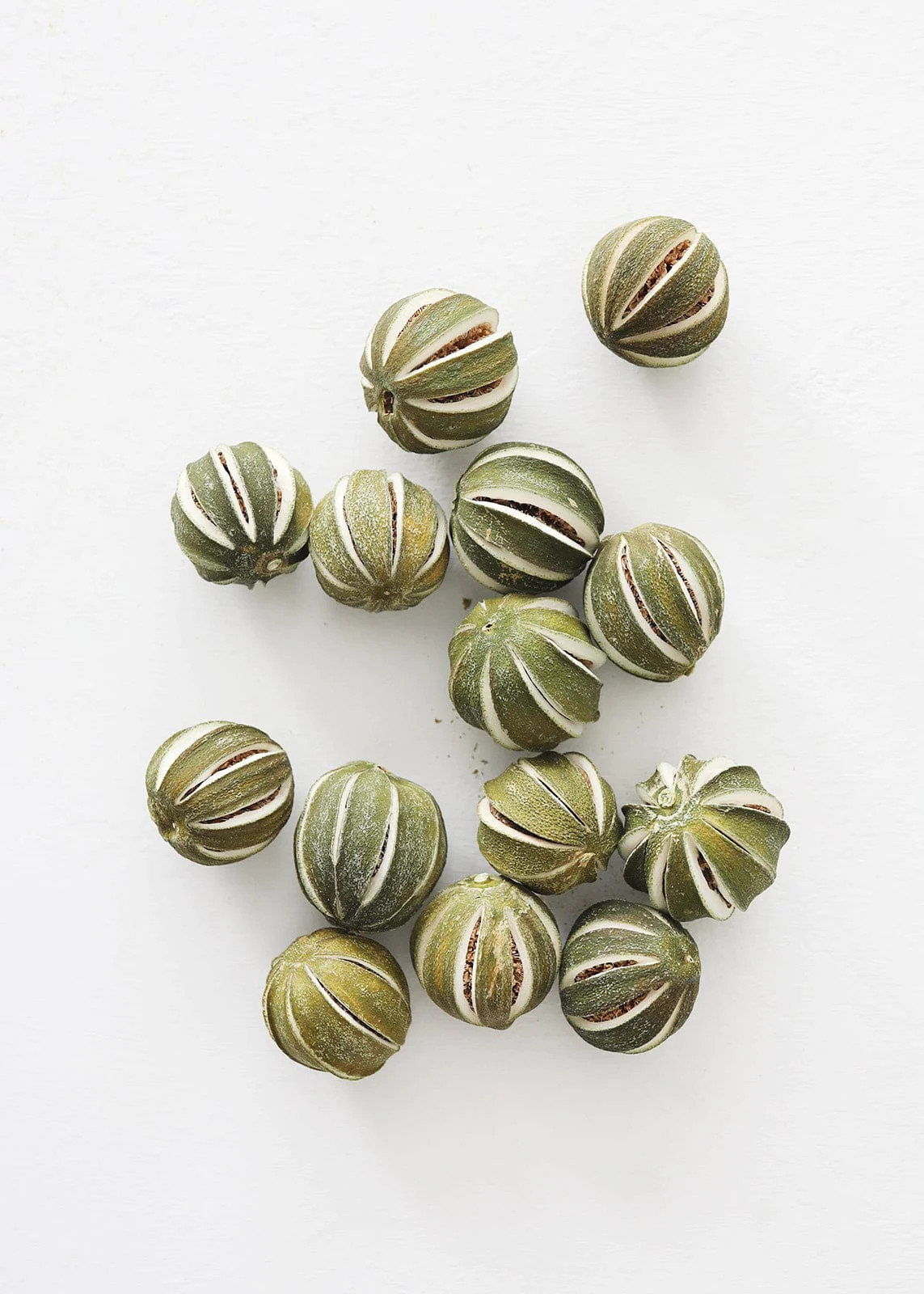 Bag of 14 Natural Dried Limes - 1.75-2.25 | Afloral (US)