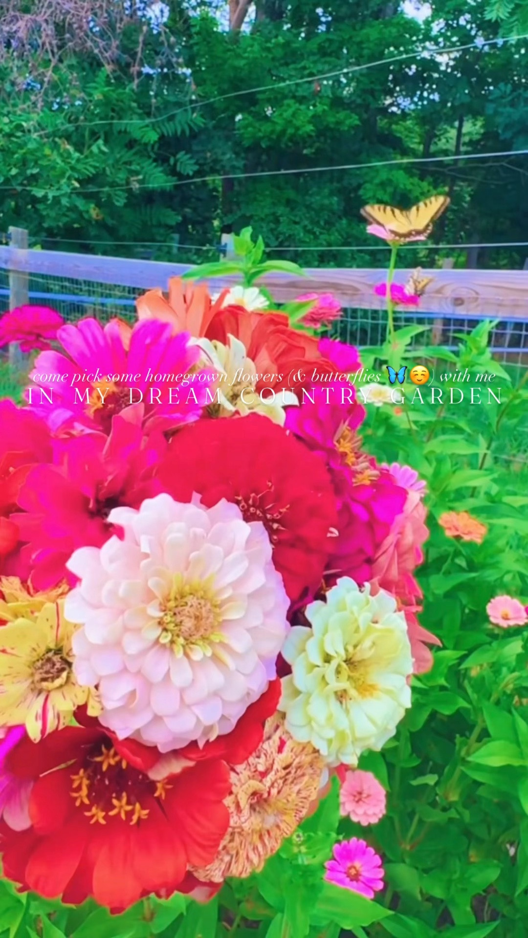 Come pick some homegrown flowers (& butterflies 🦋☺️) with me in my dream country garden!!! 💐🌼👩‍🌾🪴🪏🪻🌸🌻 Thank you, Jesus, for this beautiful land 🌾 where all the good things grow grow grow 🌱 and reflect your glorious 🎨 beautiful Creation and goodness to us!! 🥰🌞✨🧺 #farmfreshflowers #themabryfarm #flowerchild #butterflygarden #homegrownflowers