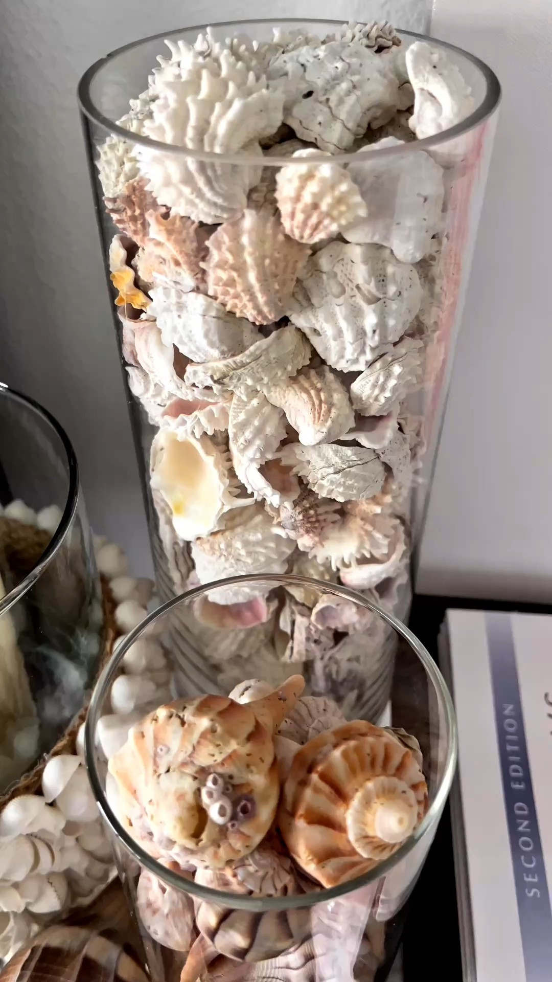 🐚Sharing my recent shell collection from Pass-A-Grille Beach in St. Petersburg, Florida and showing how to decorate too!🐚🌊🙌🏼

🐚COASTAL HOME DECOR: I’m starting to put together my summer seashell collection and wanted to share my progress with you!

🐚I keep purchasing glass vases to showcase all of the seashells that I have personally found on the Florida beaches that I’ve visited.

🐚Also found the cutest ceramic seashell box with lid and seashell trinket dish.

📚Had to throw in my go to seashell books and ginger jars that are on repeat year after year.

🍍Going for a pink summer coastal vibe. So far I’m loving it!

#LTKSeasonal #LTKOver40 #LTKSaleAlert #LTKTravel #LTKHome #LTKmomlife #LTKvlog