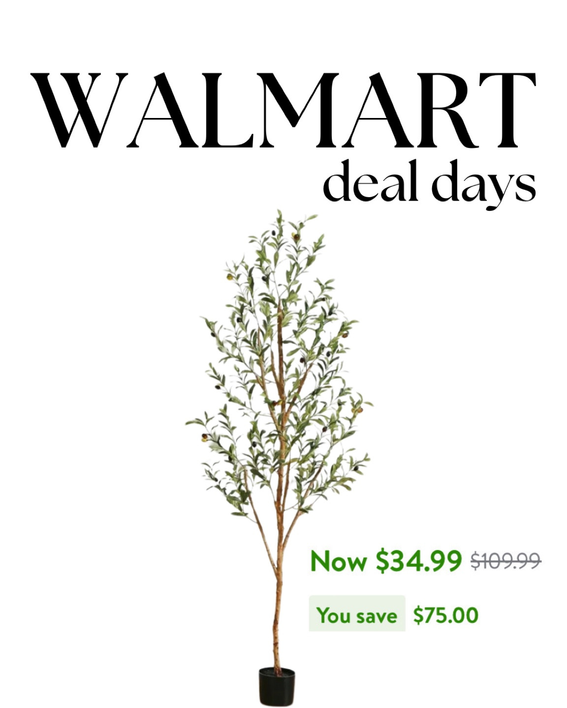 This olive tree is a steal right now🙌🏼

#LTKHome #LTKSummerSales