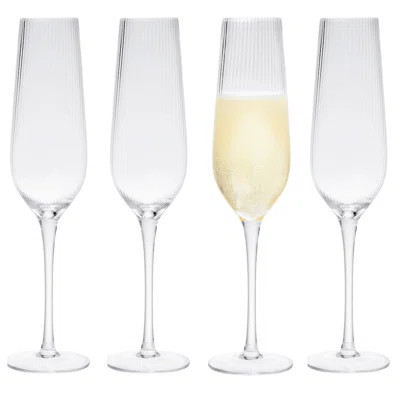 Divo Optic Champagne Flute | Wayfair North America