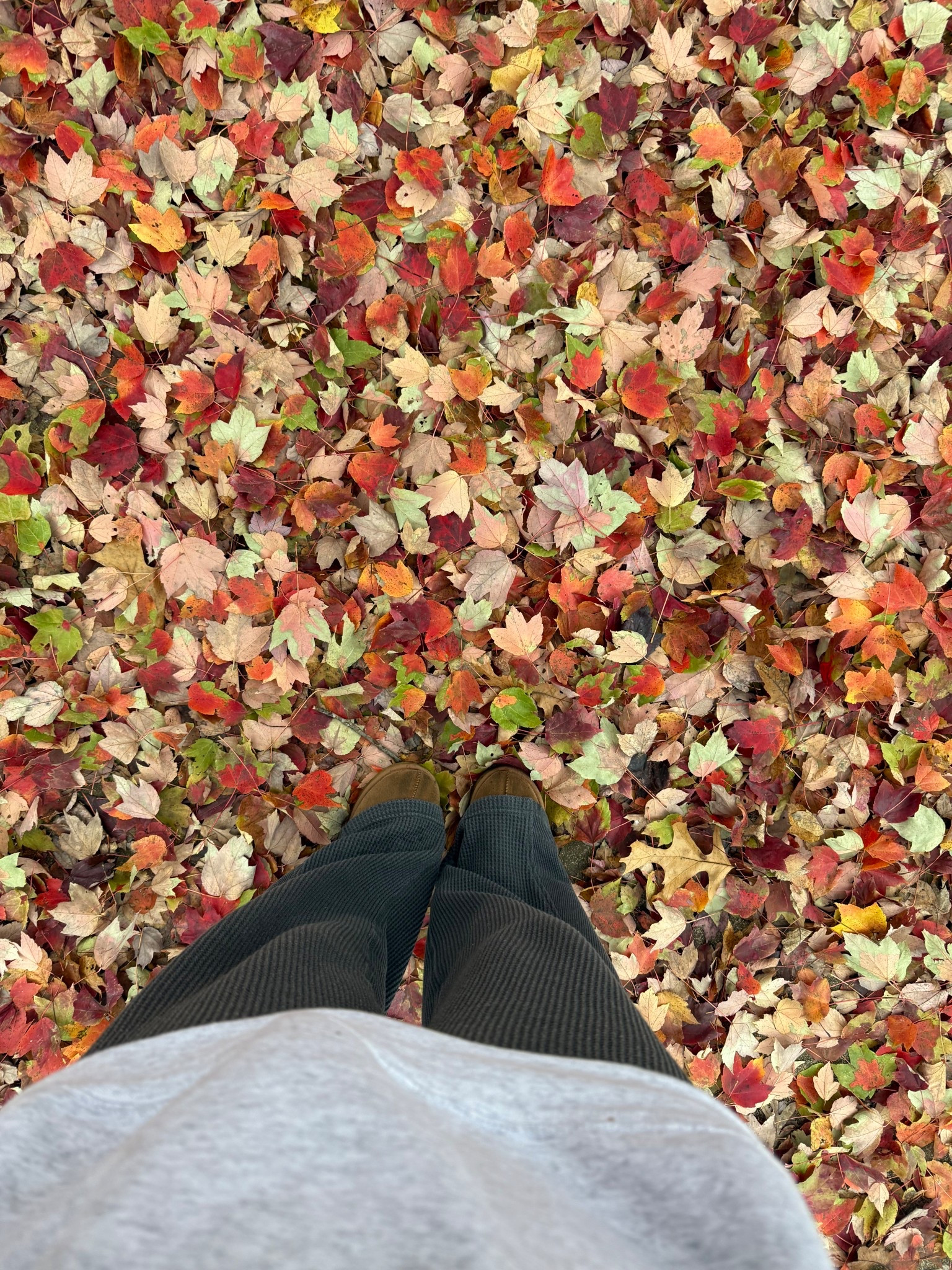 waffle knit pants!!

#LTKmomlife #LTKGiftGuide #LTKFindsUnder50