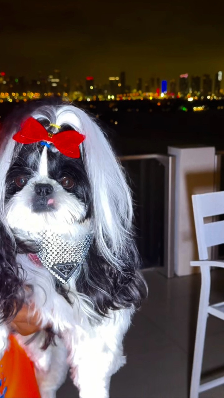 Mondrian South Beach Tower Suites Miami luxury hotel stay

Mondrian South Beach Tower Suites are a true Miami icon — from private floor access to panoramic waterfront views that feel unreal in person. Even beyond the Tower Suites, every room at Mondrian is designed with that same elevated, curated feel that defines a luxury South Beach stay.

Home to Baia Beach Club, one of Miami’s most sought-after waterfront destinations, the property blends resort energy with a more exclusive, residential-style experience in the heart of South Beach.

Tower Suite 5 is especially iconic — when Craig David lived here in the US, this was his home, and where his TS5 sets were born, ultimately leading to the resurgence of his career.

The rooftop suites have become a Miami landmark, with celebrities and creatives moving through ever since — including Nirvana the Shih Tzu.

Nirvana is also linking luxury handbags that match the aesthetic of the Tower Suites — elevated, timeless, and designed to complement this level of Miami luxury.

If you’re planning a Miami trip, this is one of those stays you experience at least once.

Nirvana the Shih Tzu 💋 Nirvana Approved

#LTKdayinmylife #LTKgrwm #LTKTravel