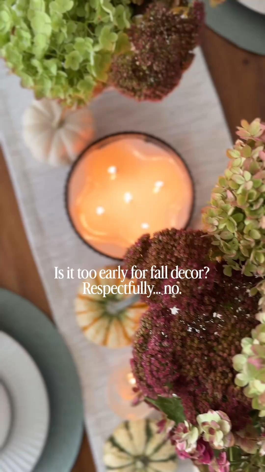 It’s not too early for fall decor. Shop my favorites below that sell out fast

#falldecor #homedecor #pumpkin #halloweendecor #fall

#LTKHome #LTKSeasonal #LTKOver40