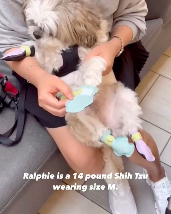 I love these disposable dog booties that stay on. Ralphie is a 14 pound Shih Tzu and he wears size M. Available in multiple colors as a pack of 48. We can usually get a few walks out of each pair before he wears them out since he likes to kick his back paws after peeing. Tip: You can wash the stretchy bands if they get dirty. I prefer the stretchy bands to the 2 rolls of gauze bands which they also include per box. If you carefully remove the bands they will last longer.

Fur baby 
Dog shoes
Dog boots

#LTKFamily #LTKKids #LTKBaby