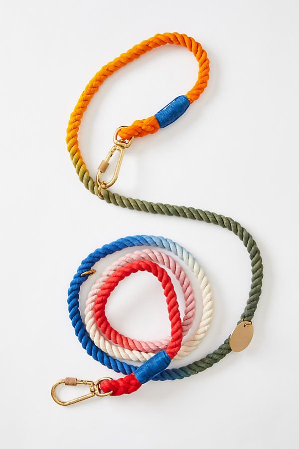 Rainbow Dog Leash By Found My Animal in Assorted Size L | Anthropologie (US)