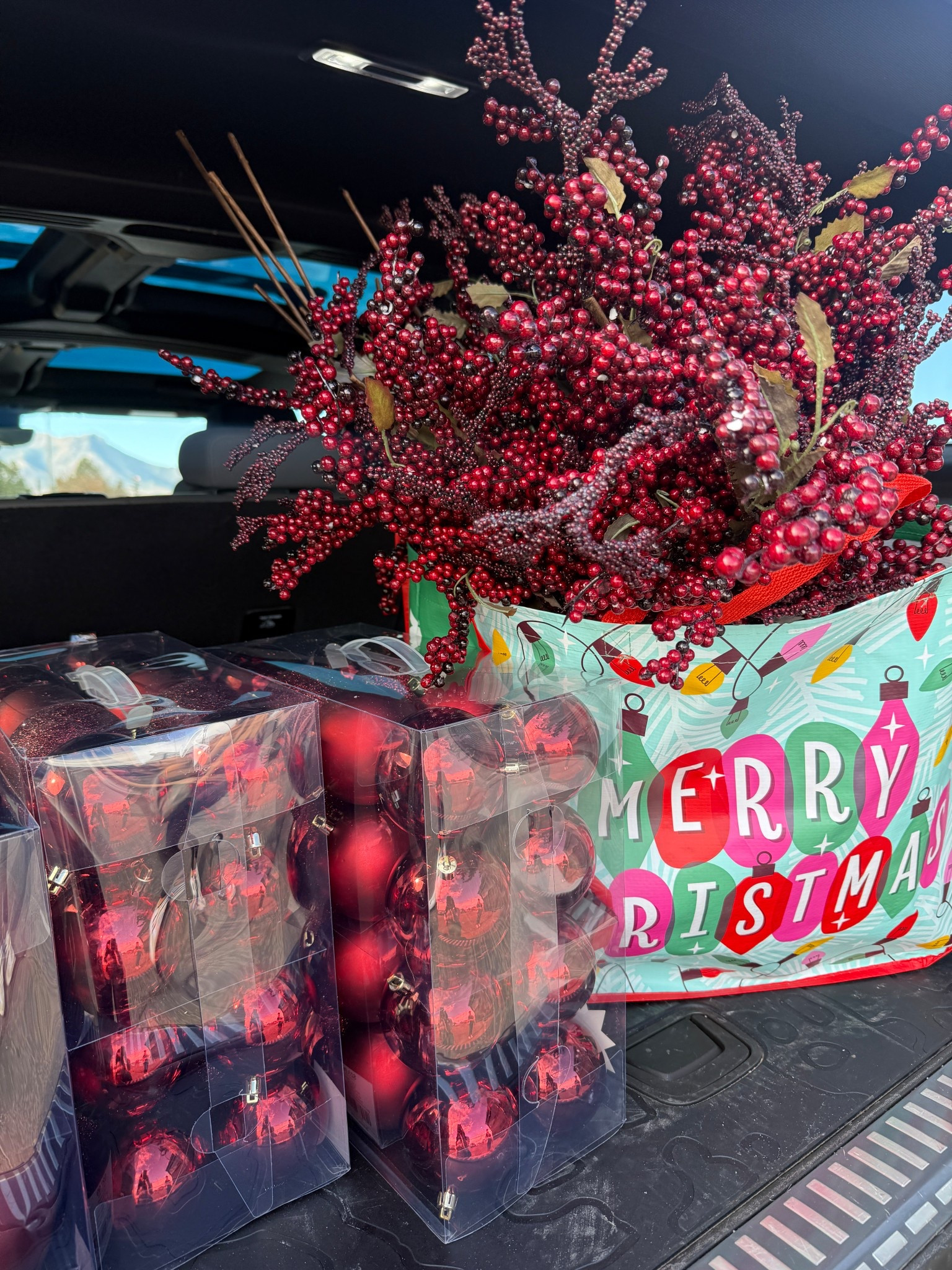 Finally found burgundy faux stems! I’ve been searching all over for these. Linking some of my favorite seasonal faux stems.

#LTKHoliday #LTKStyleTip #LTKHome