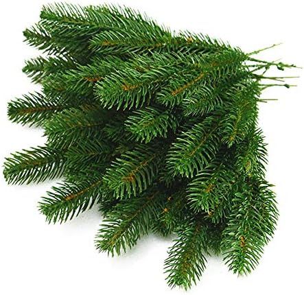 Yarssir 25pcs Artificial Greenery Pine Needle Garland Pine Picks for Christmas Holiday Home Decor... | Amazon (US)