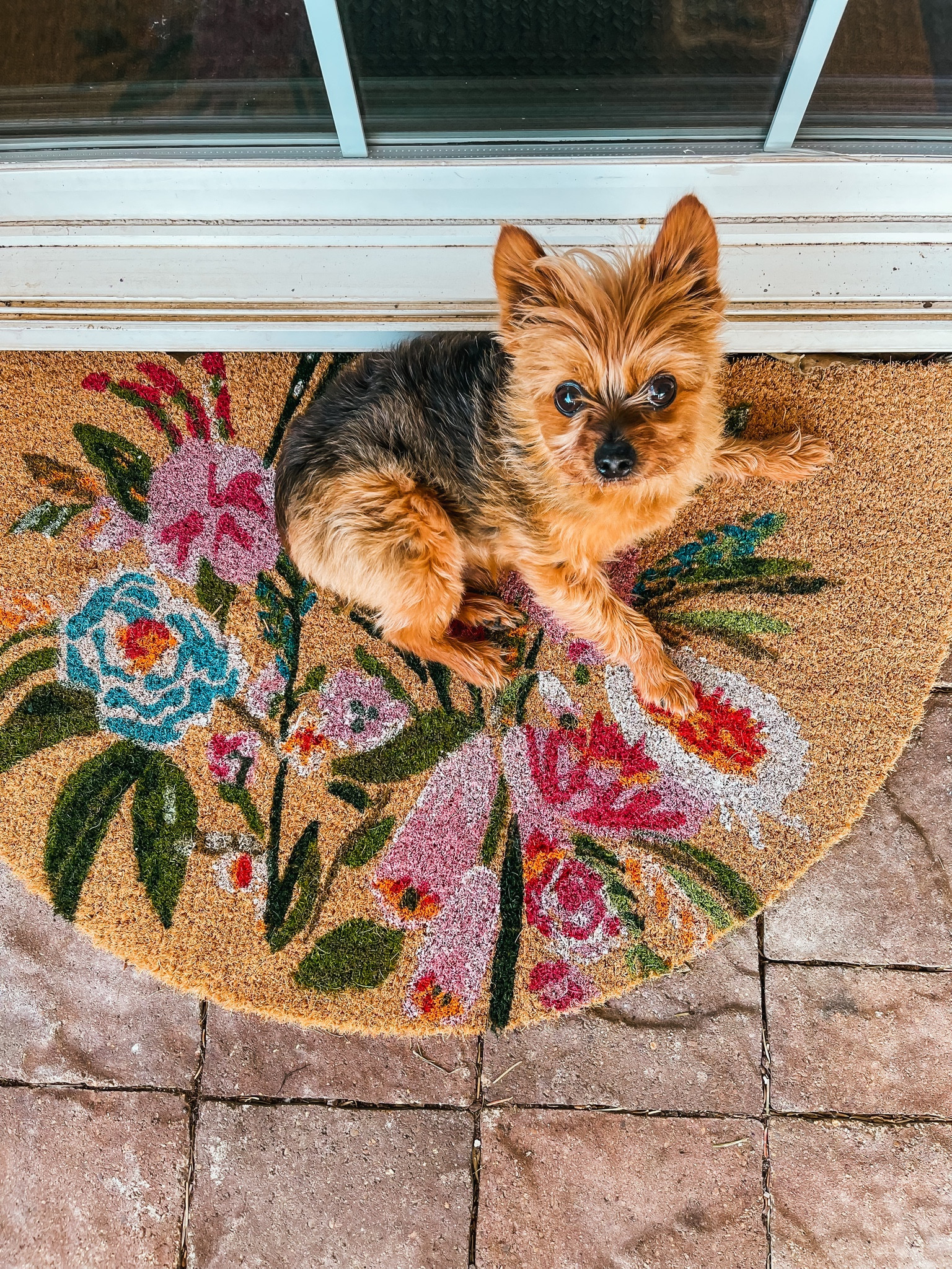 Spring / summer doormats 
- outdoor floral choir door mat ( soo bright & pretty)
#ltkunder50 #targetfinds

#LTKunder50 #LTKFind #LTKSeasonal