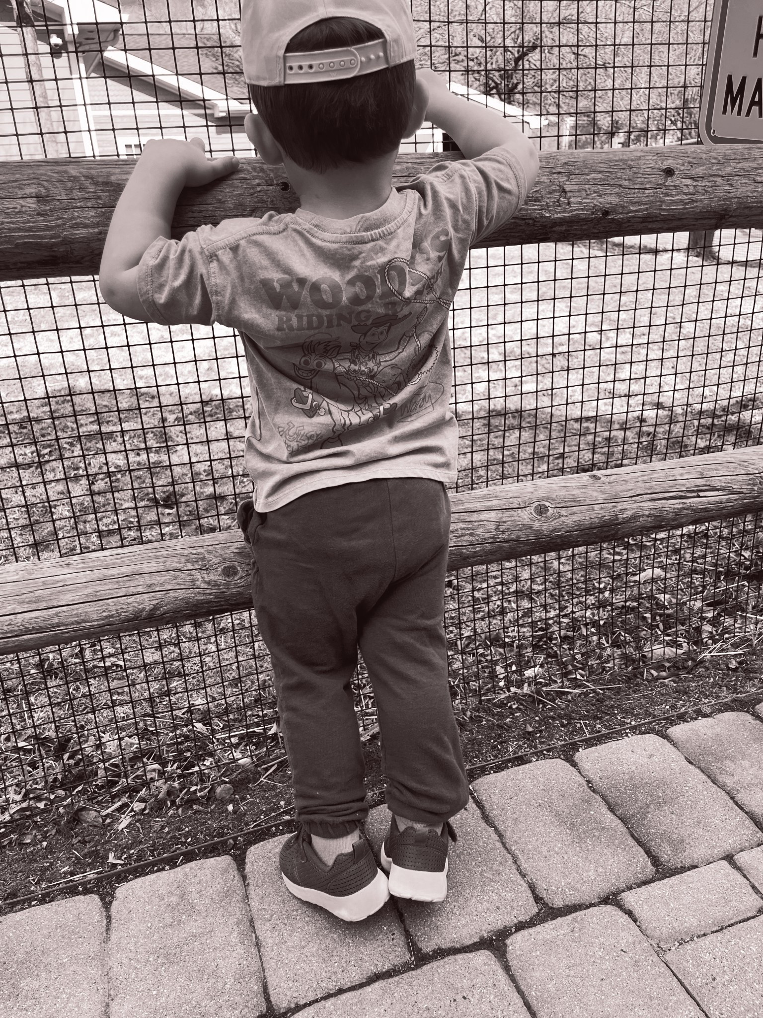 for the Toy Story fans 



#LTKKids #LTKmomlife #LTKootd