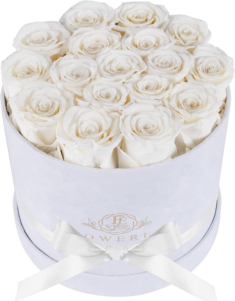 Forever Real Roses in Suede Box - 17-Piece Roses in a Box - Real Preserved Roses That Last Over a... | Amazon (US)