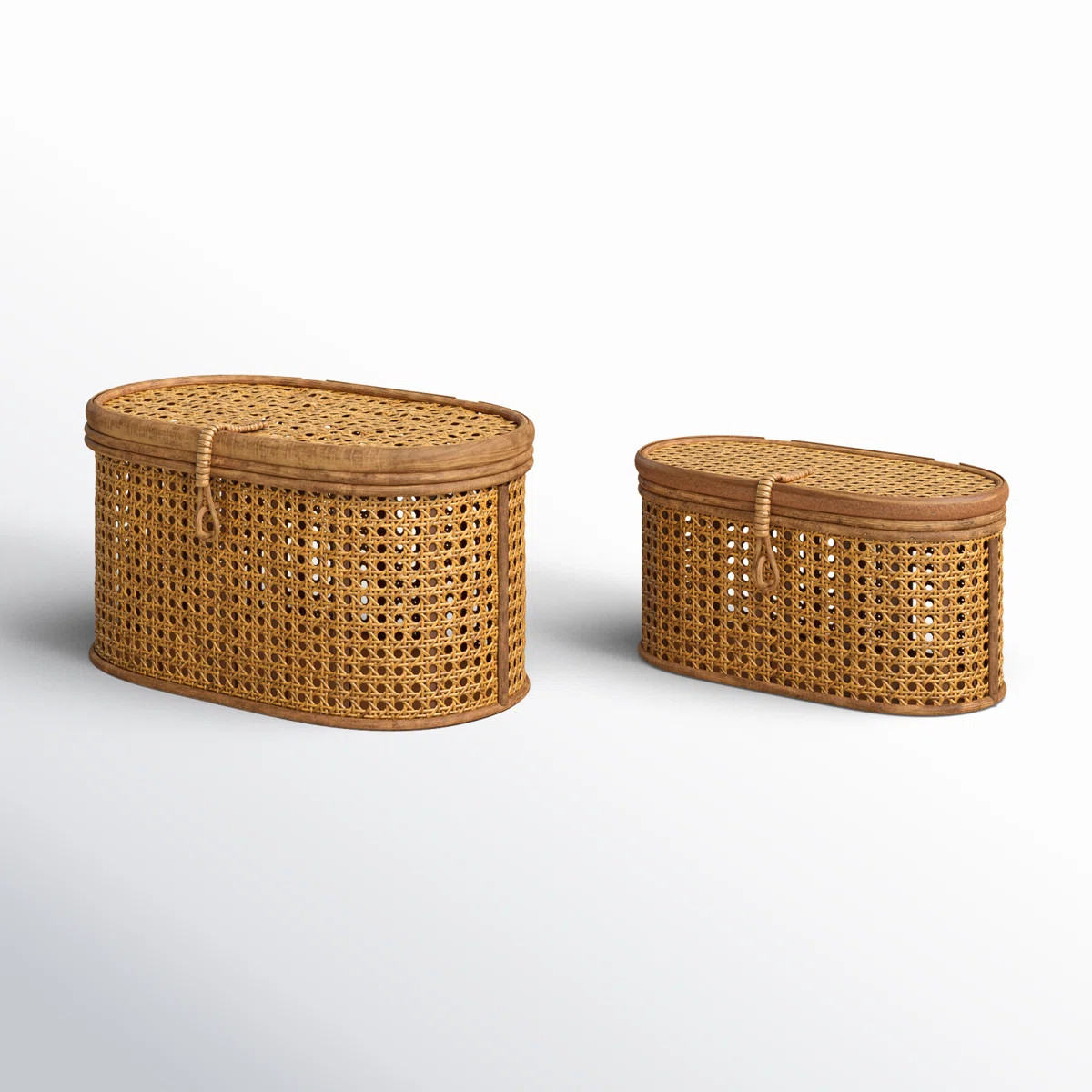 Modern Decorative Oval Woven Rattan Storage Boxes | Wayfair North America